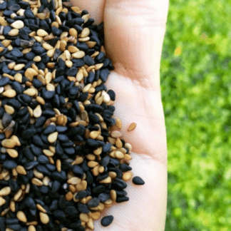 Organic Black and Tan Sesame