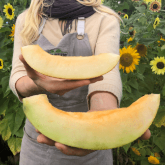 Organic Sharlyn Melon