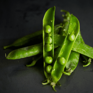 Organic Maxigolt Shelling Pea