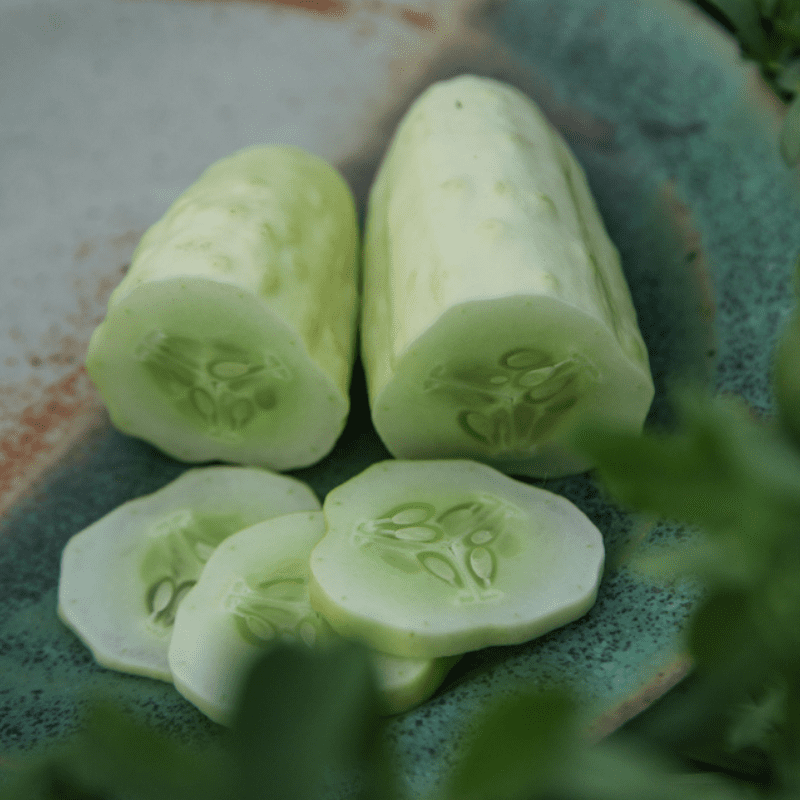 Organic Silver Slicer Cucumber - Fruition Seeds