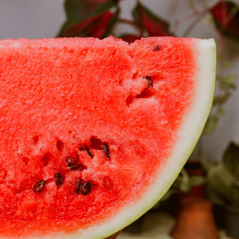 Organic Sugar Baby Watermelon Fruition Seeds