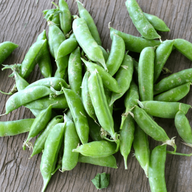 Organic Sugar Ann Dwarf Snap Pea Fruition Seeds