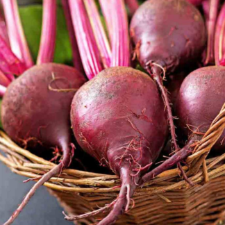 Organic Lutz Green Leaf Beet