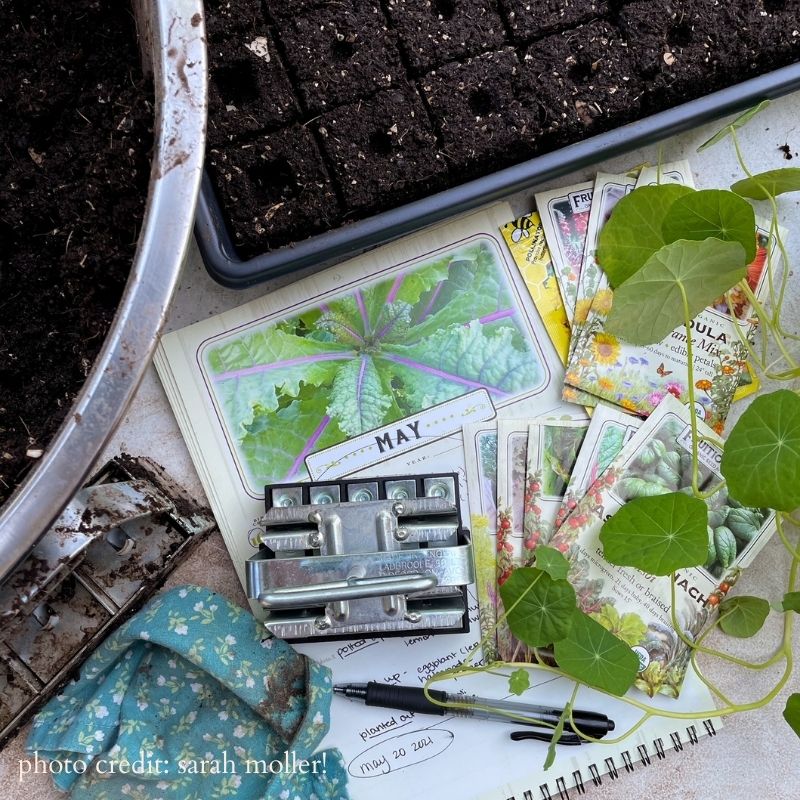 Mixed Herb Seed Packets