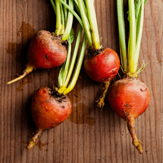 Organic Touchstone Gold Beet