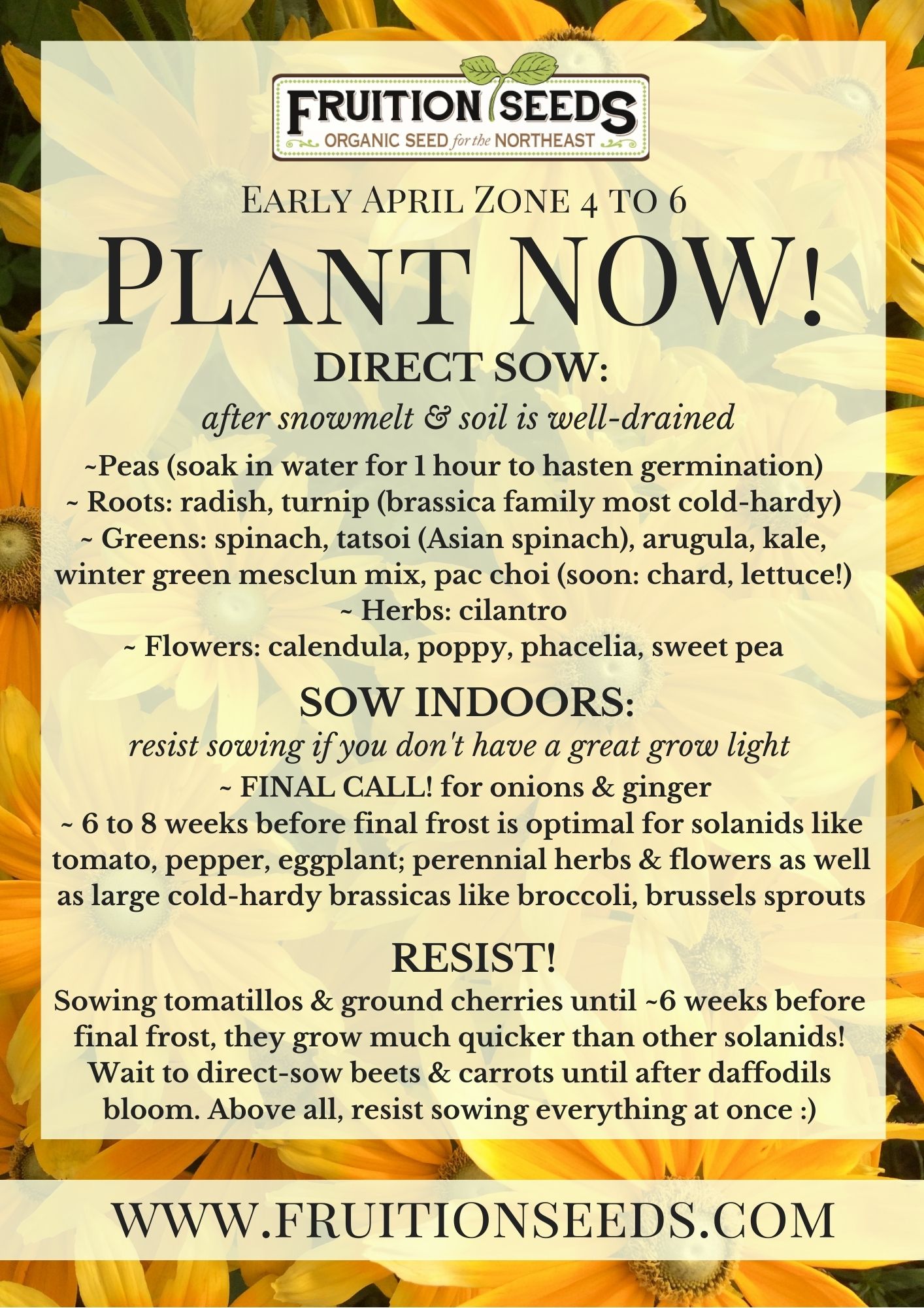 Growing Guide for April Plant Now