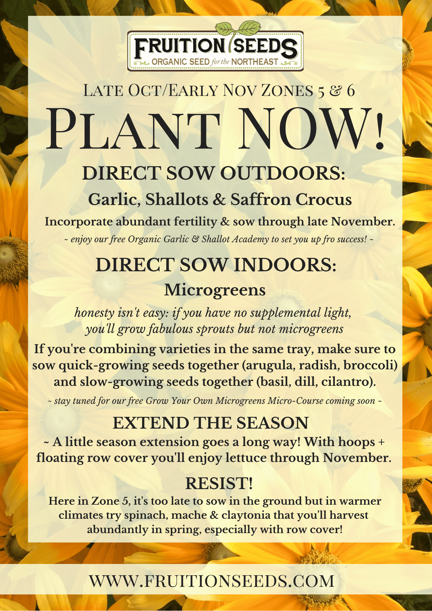 Growing Guide for October Plant Now