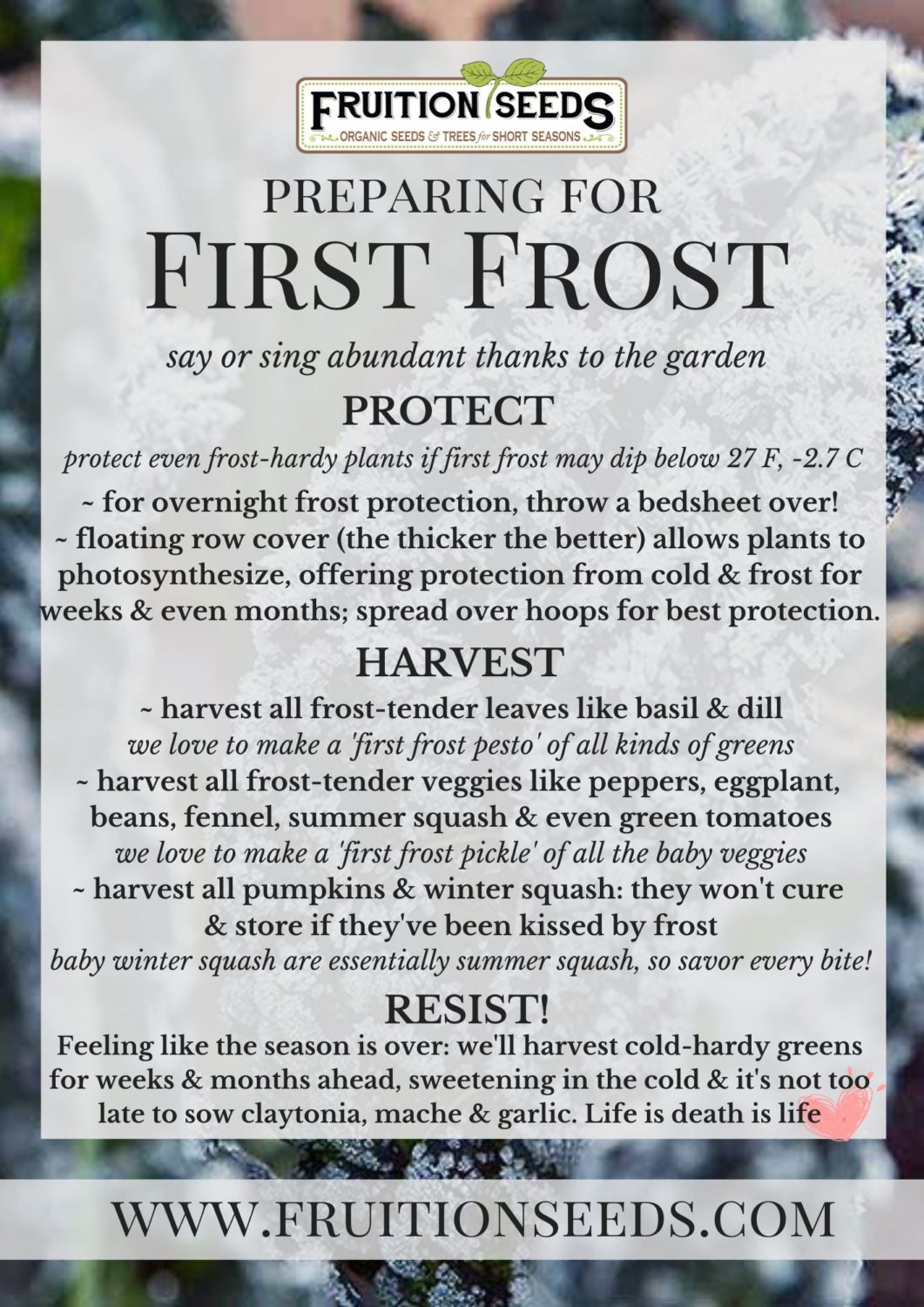 preparing for first frost a