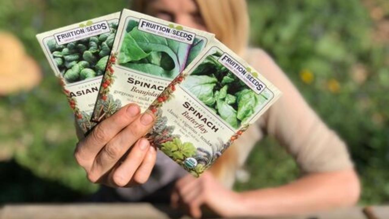 Seeds to Direct Sow in March Fruition Seeds