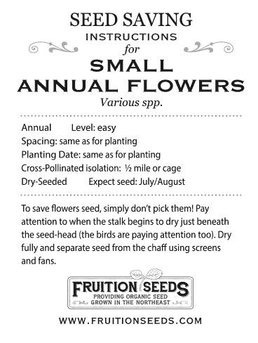 Thumbnail of Growing Guide for Small Annual Flower Seedkeeping Guide