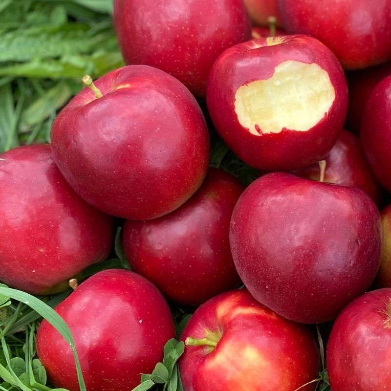 Organic Red Delicious Apples, Apples