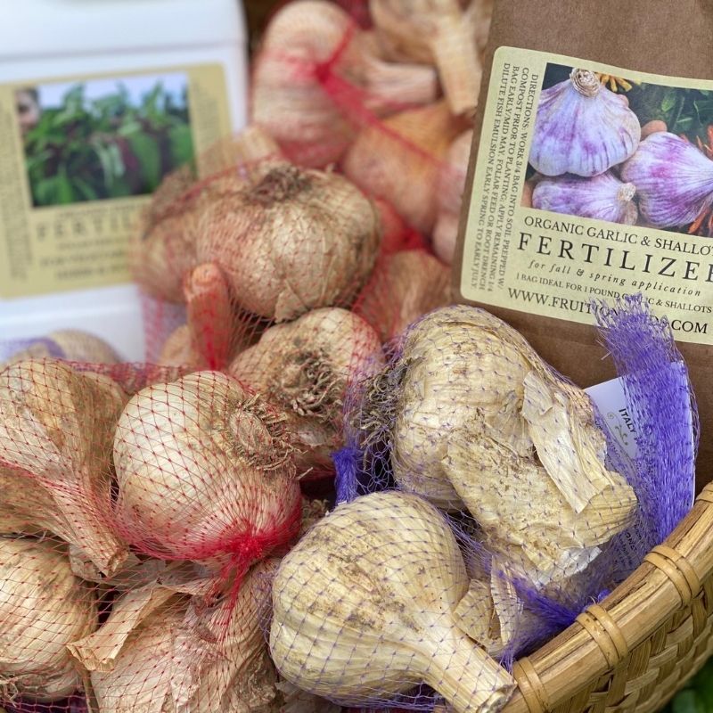 Garlic Grow Bag Kit