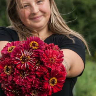 https://www.fruitionseeds.com/wp-content/uploads/social-zinnia-red-3-324x324.jpg