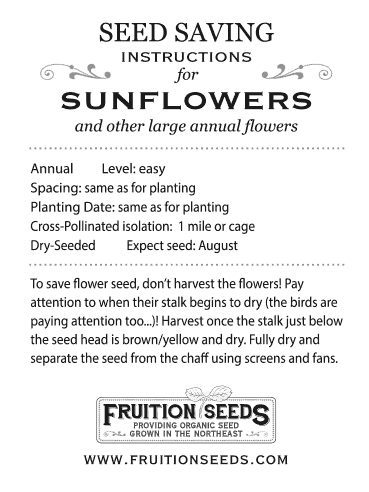 Thumbnail of Growing Guide for Sunflower Seedkeeping Guide